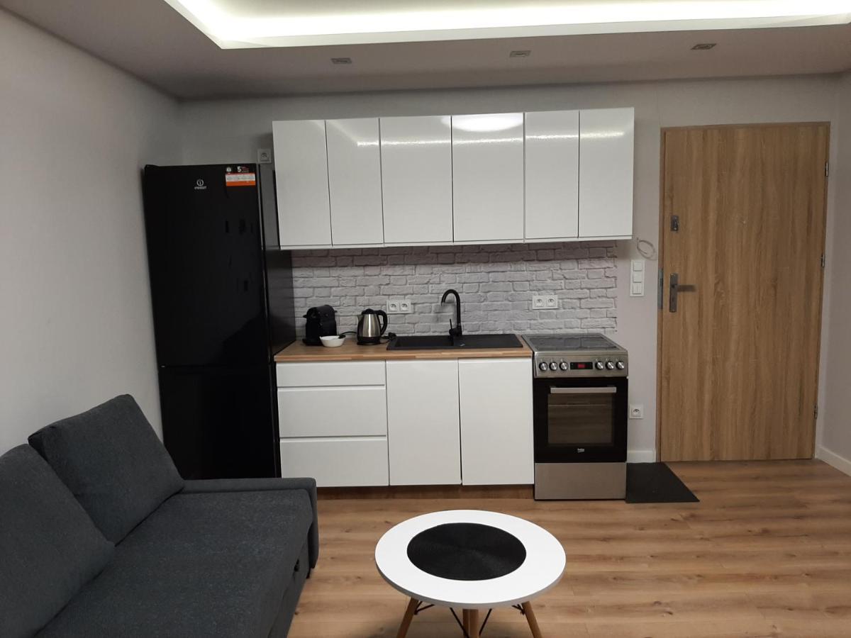 Central Platinum Apartments 14 Рибник Екстер'єр фото